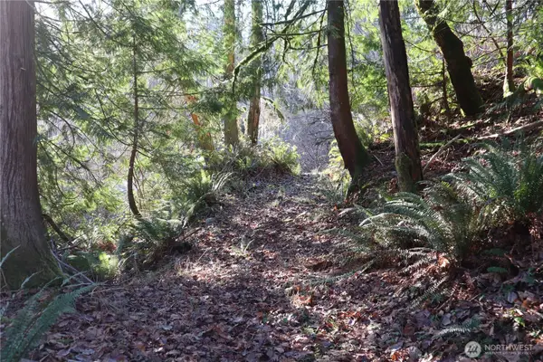 239 SE 238th Street, Maple Valley, WA 98038