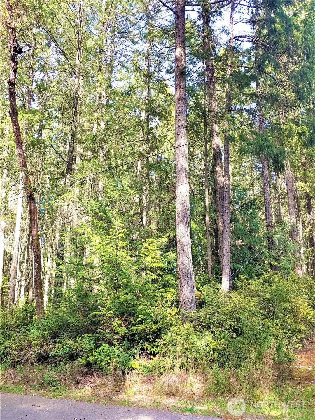 11107 122nd Avenue Ct #22, Anderson Island, WA 98303 - #1