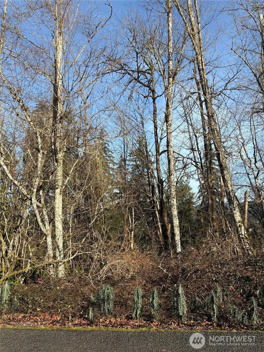 128 Valley View Drive, Mossyrock, WA 98564 - #1