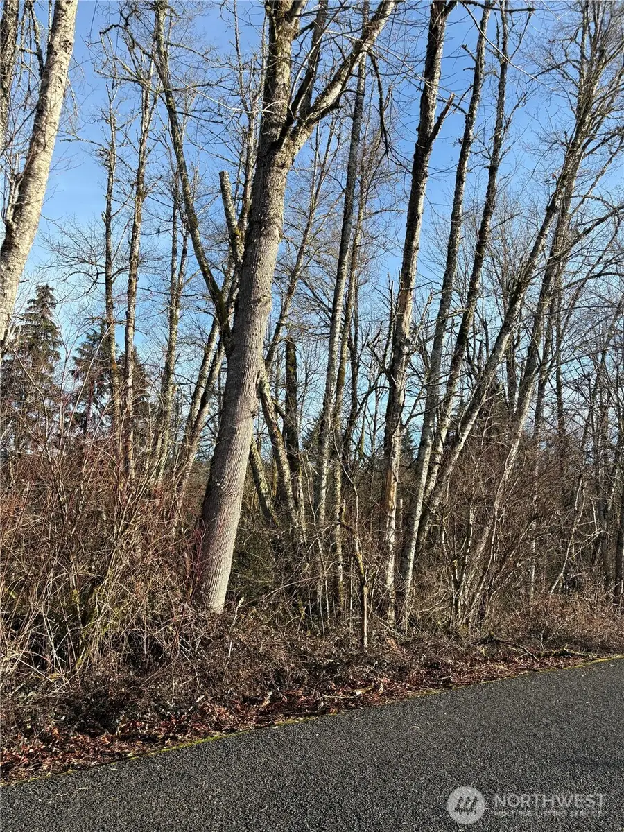 128 Valley View Drive, Mossyrock, WA 98564 - #3