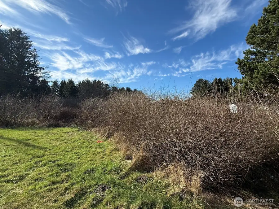 139 Pacific Way #16-18, Long Beach, WA 98631 - #3