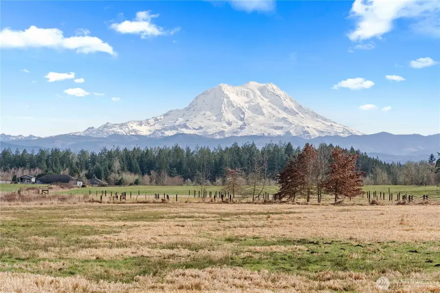 2313 420th Street E, Eatonville, WA 98328 - #3