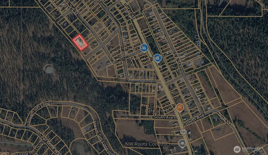 0 S 3rd St Alley, Roslyn, WA 98941 - #3