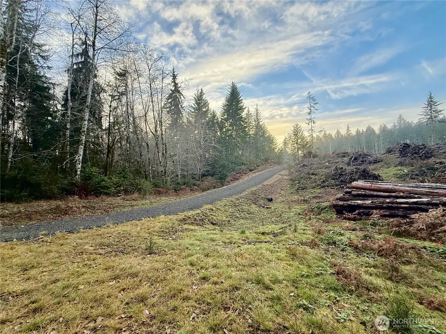 250 E Solbak Kvein Road #Tract B, Shelton, WA 98584 - #3