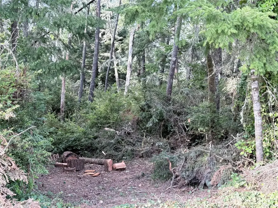 0 U Street, Ocean Park, WA 98640 - #2