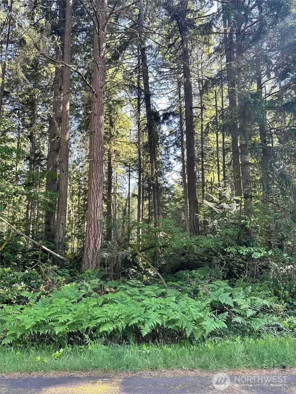 11825 112th Avenue #6, Anderson Island, WA 98303