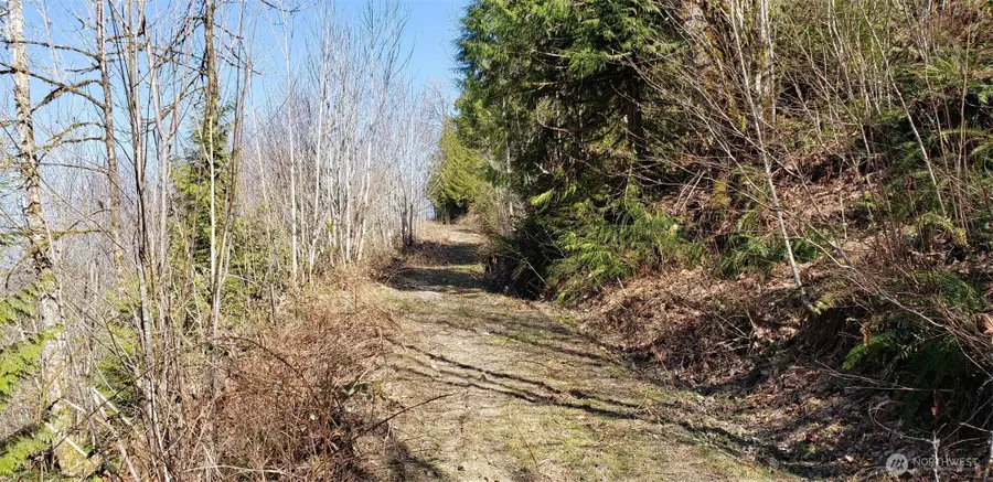 0 Concrete Sauk Valley Road, Concrete, WA 98237 - #2