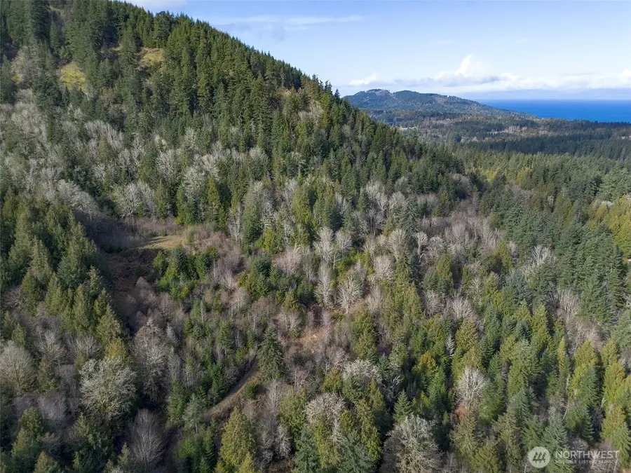 9999 Sponberg Lane #2, Port Angeles, WA 98363 - #2