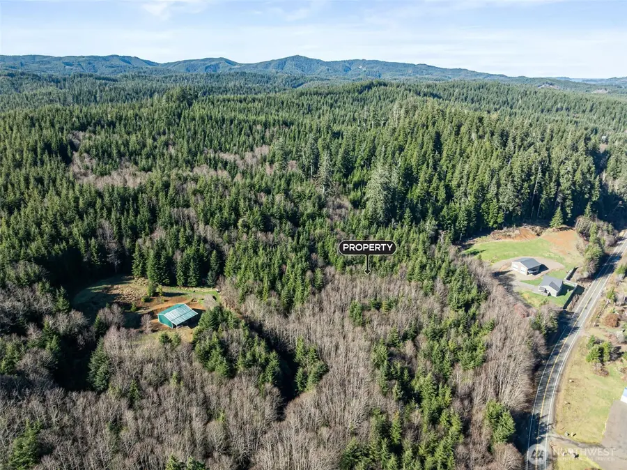 0 Parpala Road, Naselle, WA 98638 - #2