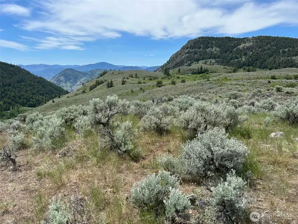 1 Tbd Ellemeham Mountain Road, Oroville, WA 98844