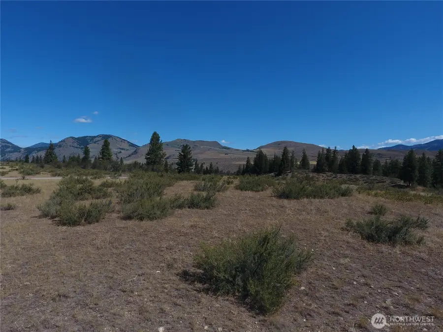 1 Perrow Drive #1, Winthrop, WA 98862 - #3