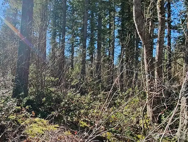 355 312th St Way Se #1-4, Enumclaw, WA 98022 - #2