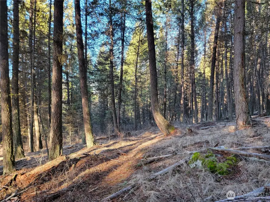 9999 Lundimo Meadows Road, Curlew, WA 99118 - #2