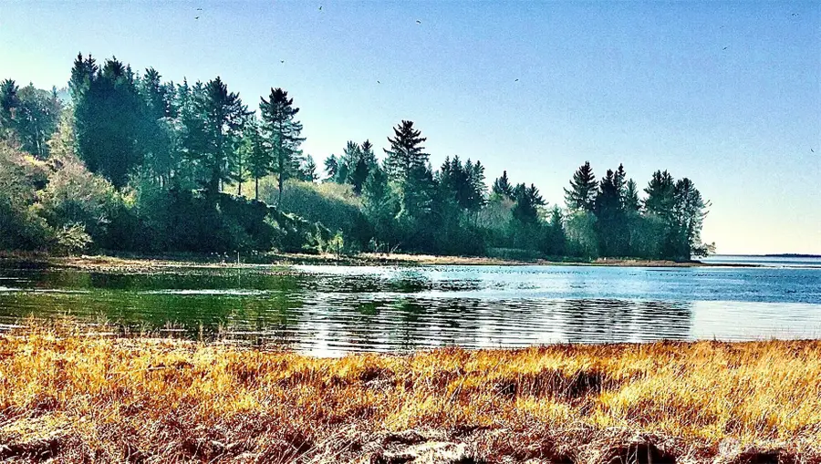 1 Wilson Point, South Bend, WA 98586 - #2