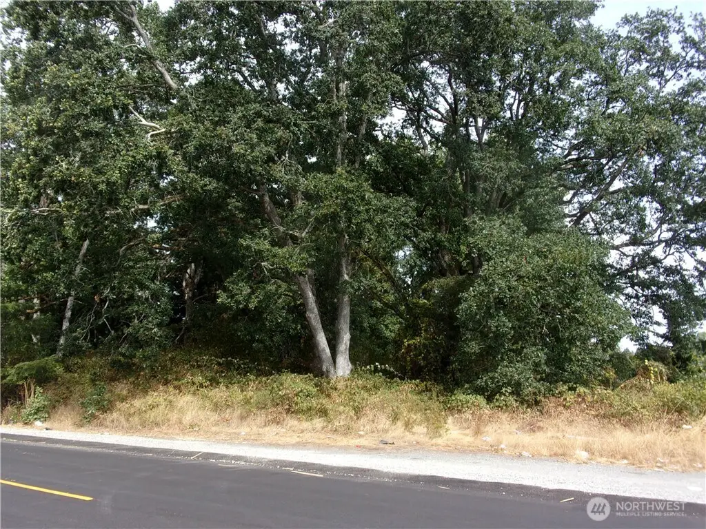 7727 146th Street Sw, Lakewood, WA 98439 - #1