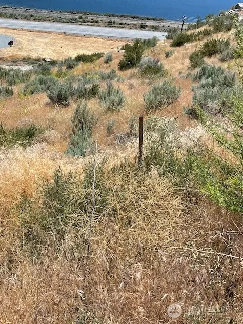 37 Osprey Nest Road #1, Pateros, WA 98846 - #1