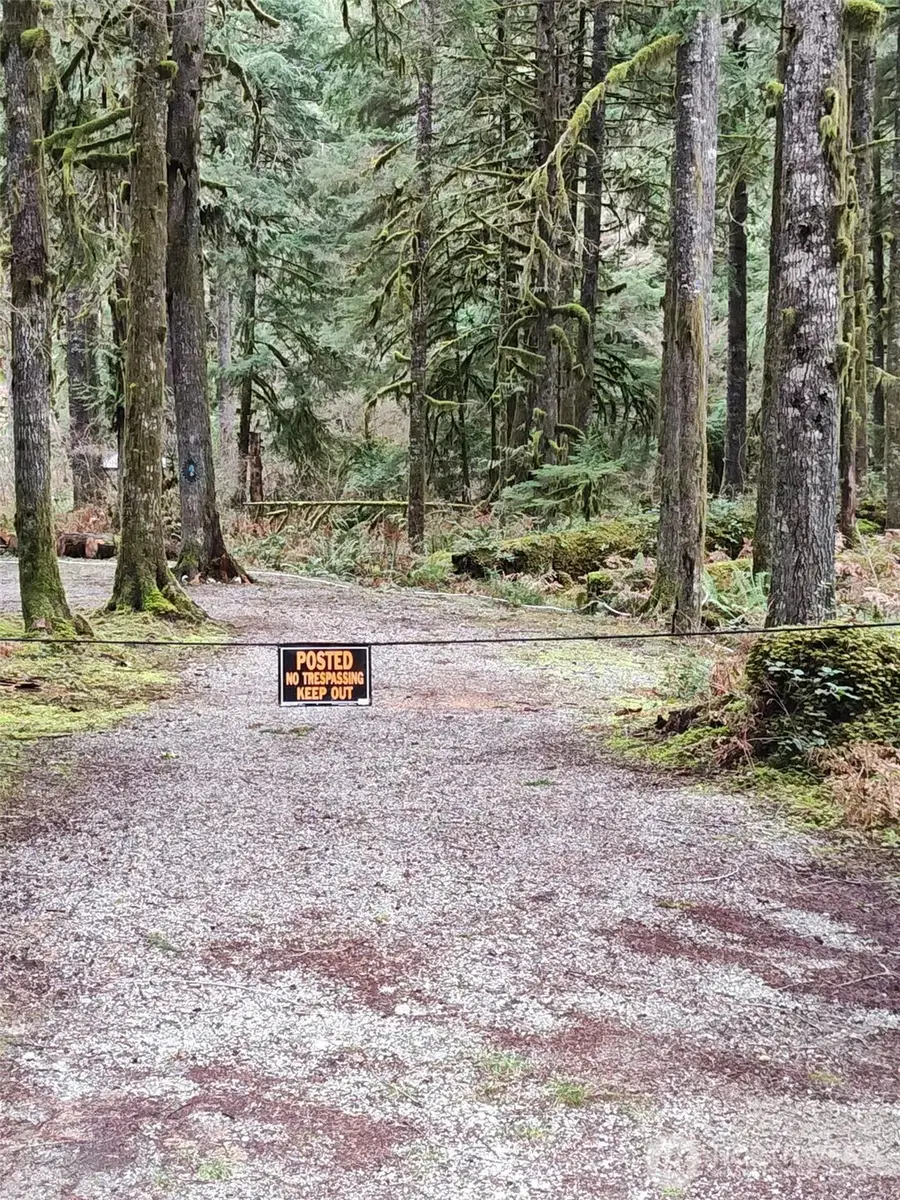 0 W Cascade Drive #9 and 10, Marblemount, WA 98267 - #3