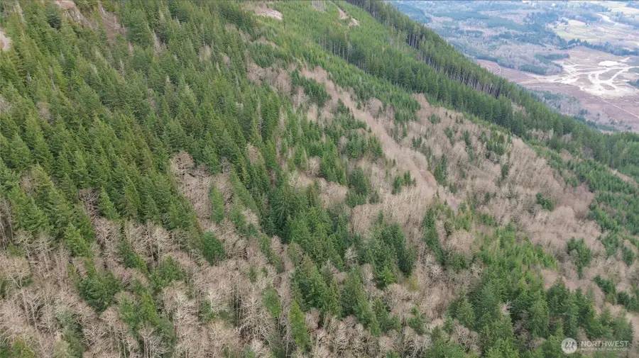 18621 Sr 530 Ne, Stanwood, WA 98223 - #3