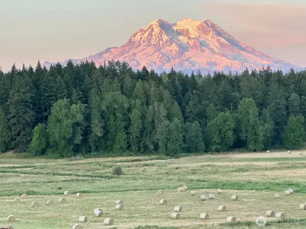 44302 32nd Ave E #42, Eatonville, WA 98328