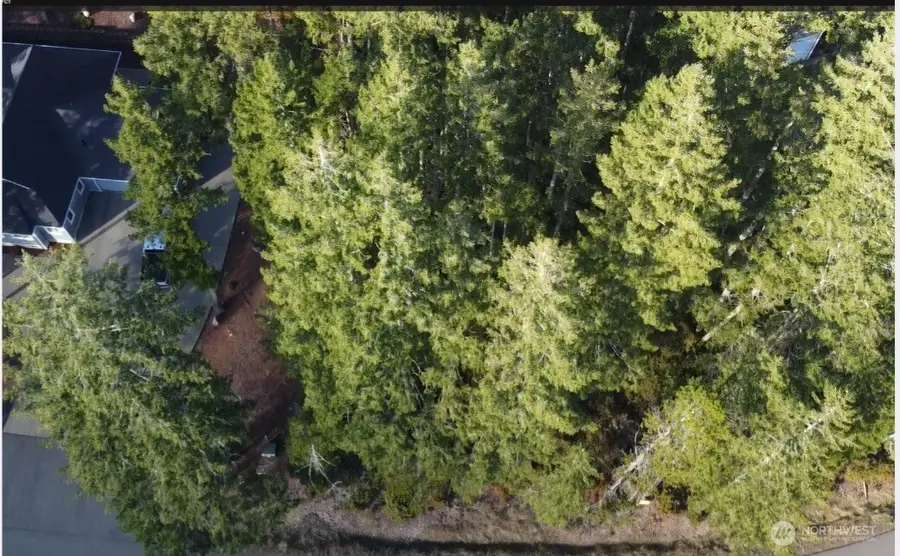 350 E Vine Maple Lane, Union, WA 98592 - #2