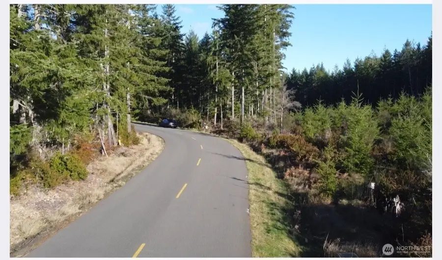 350 E Vine Maple Lane, Union, WA 98592 - #3