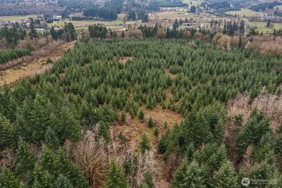 0 Smith Road, Centralia, WA 98531 - #2