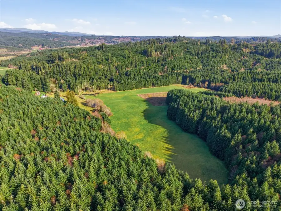 211 Echo Road, Rochester, WA 98579 - #3