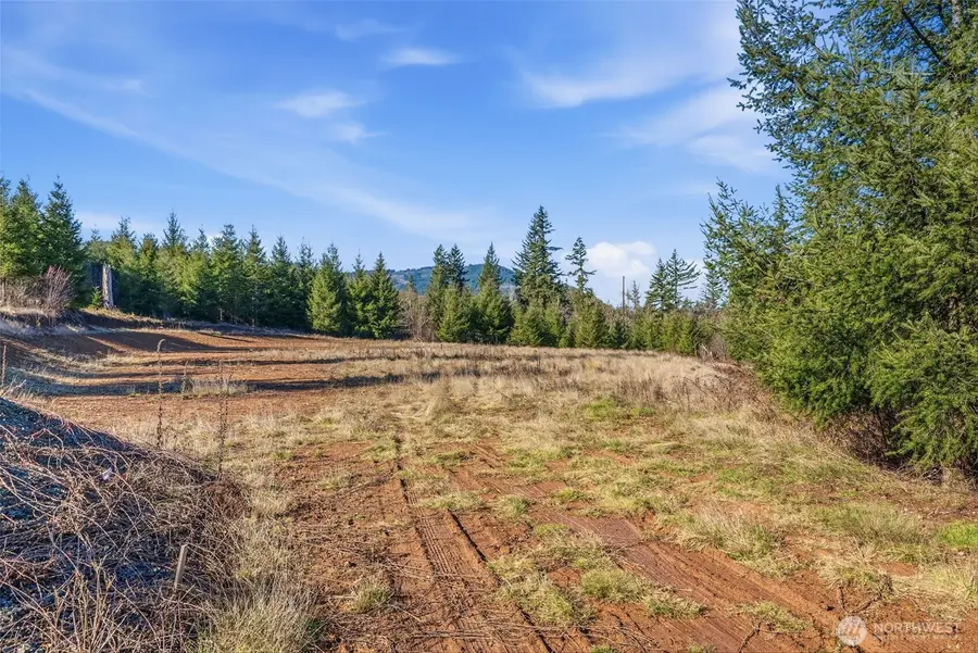 22310 NE Dole Valley Road, Yacolt, WA 98675 - #3