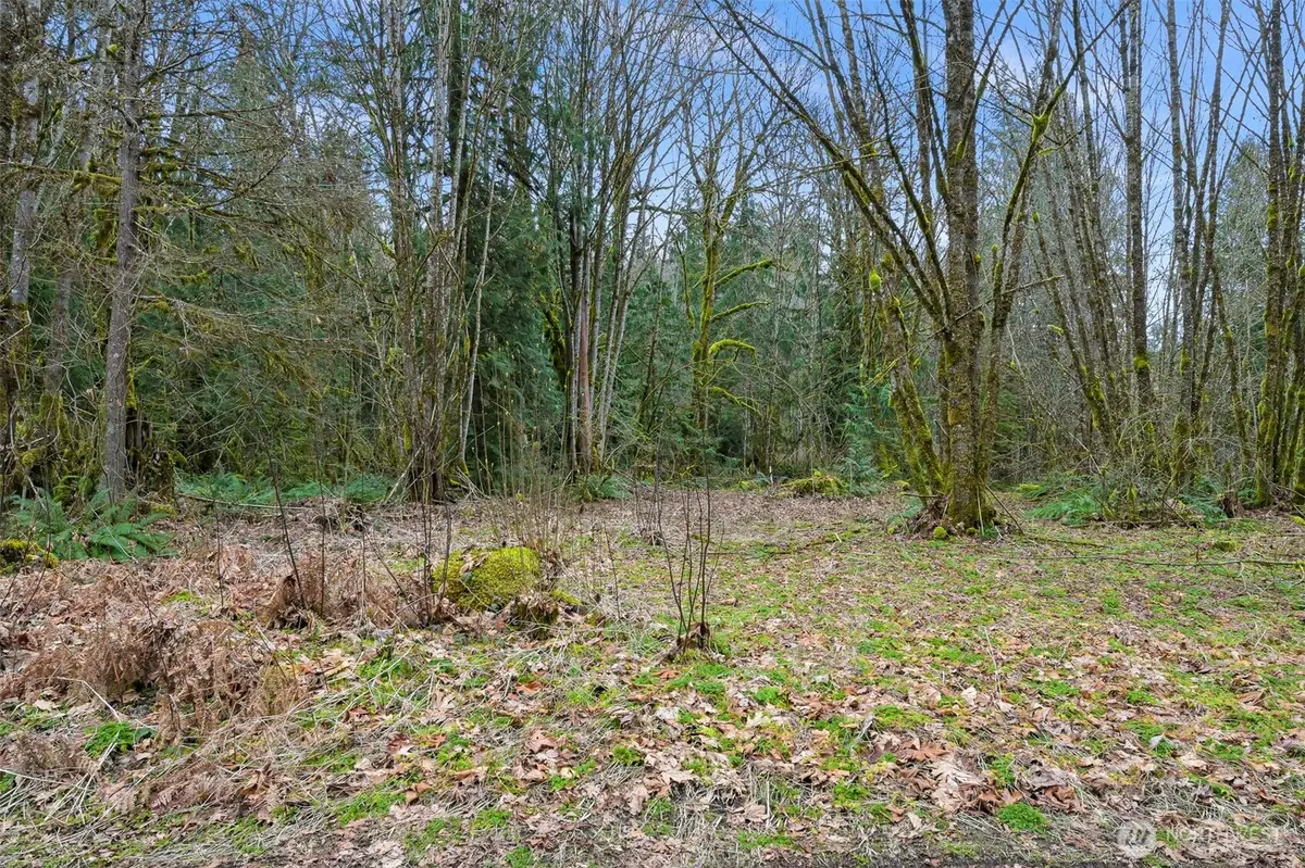 7738 Maple Drive #18, Maple Falls, WA 98266 - #1