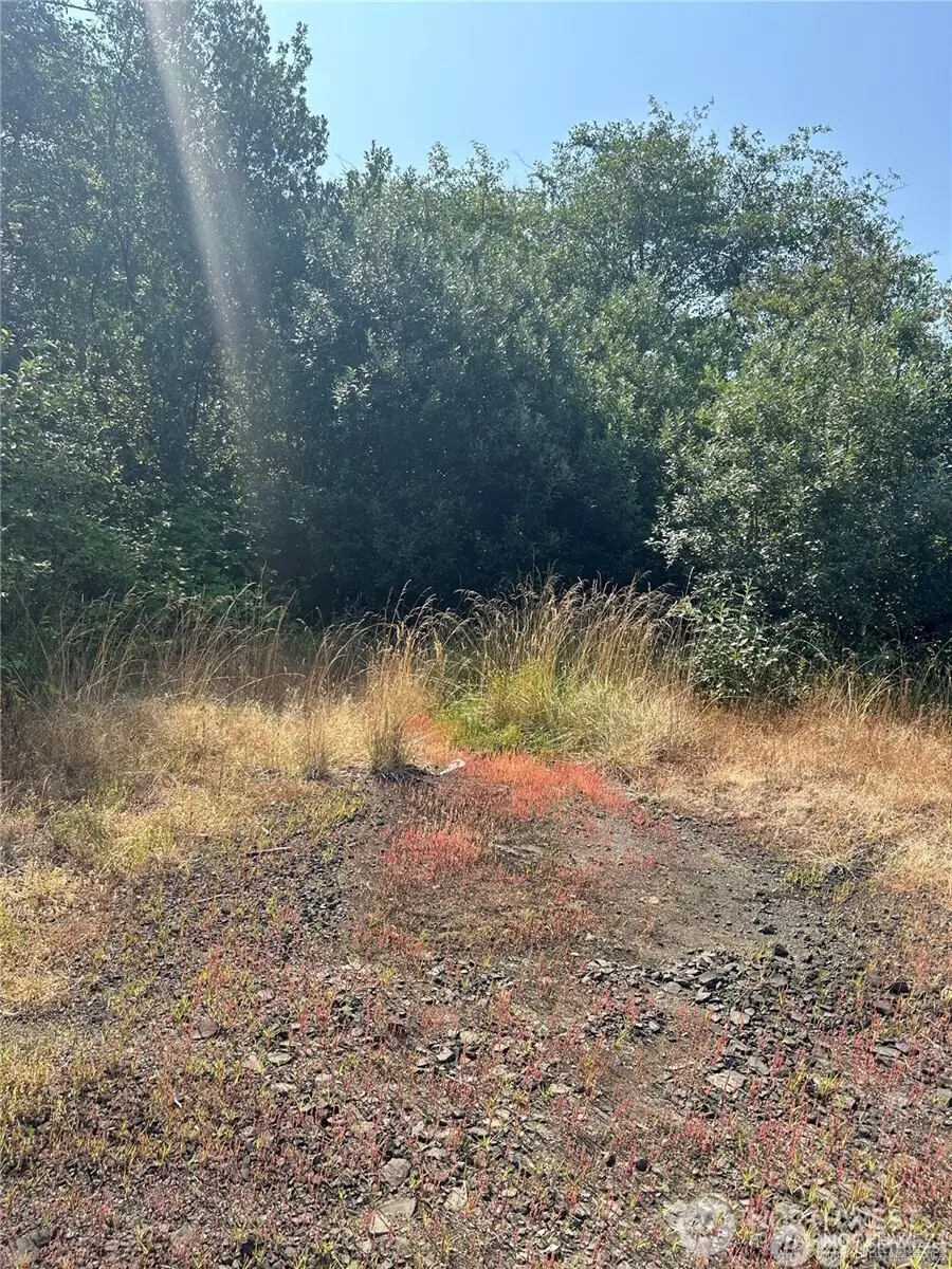 0 Xxx Hwy 101 #Boulevard Tr 26-29, Raymond, WA 98567 - #2