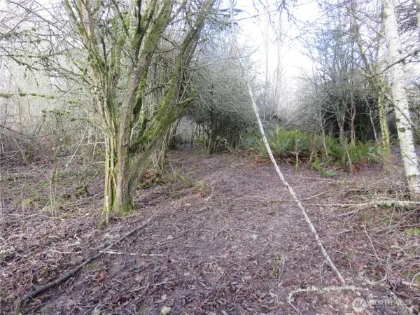 4223 Johnson Point Road Ne, Olympia, WA 98516