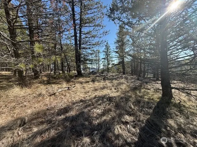 171 Garrett, Tonasket, WA 98855 - #1