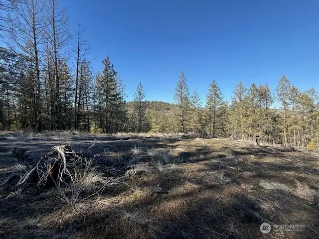 171 Garrett, Tonasket, WA 98855 - #3