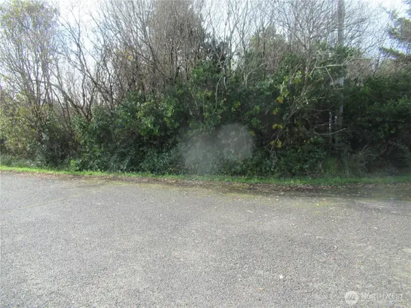 0 Driftwood Dr Drive, Ocean Shores, WA 98569