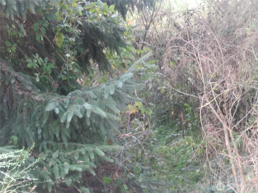 0 Driftwood Dr Drive, Ocean Shores, WA 98569 - #3