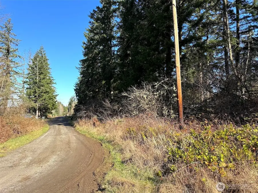 33507 84th Avenue E, Eatonville, WA 98328 - #2