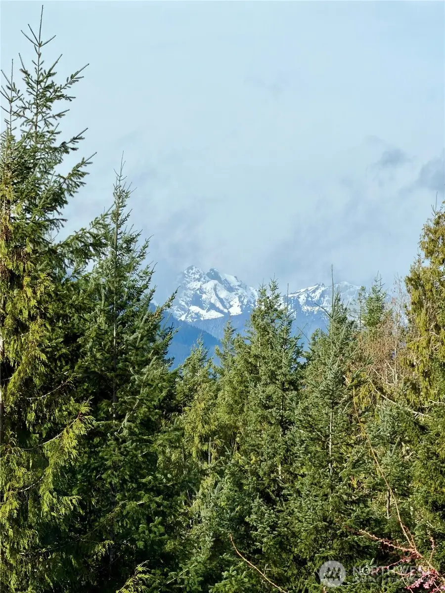 293 Blueberry Hill Drive, Quilcene, WA 98376 - #2