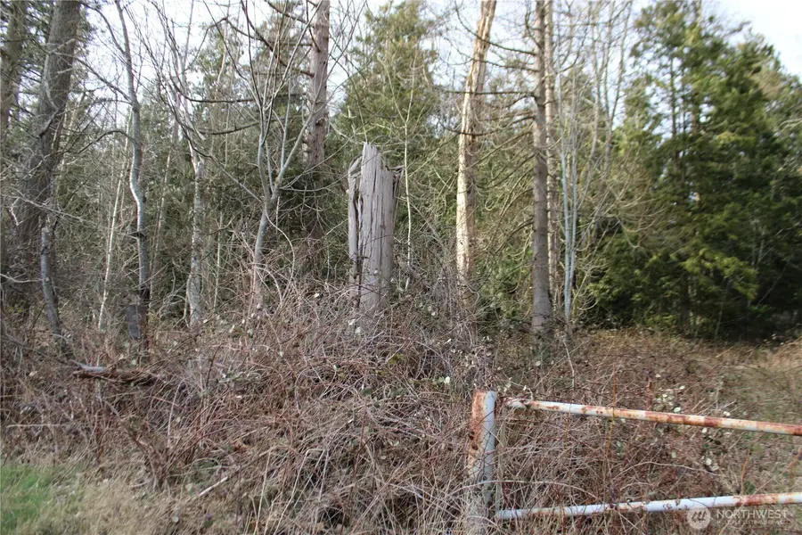 1 Semiahmoo Parkway, Blaine, WA 98230 - #3