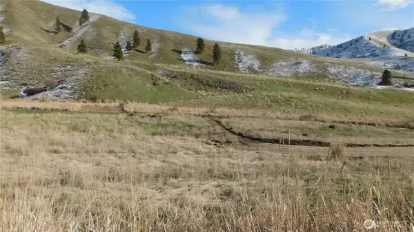 8019 Nahahum Canyon Road #11, Cashmere, WA 98815