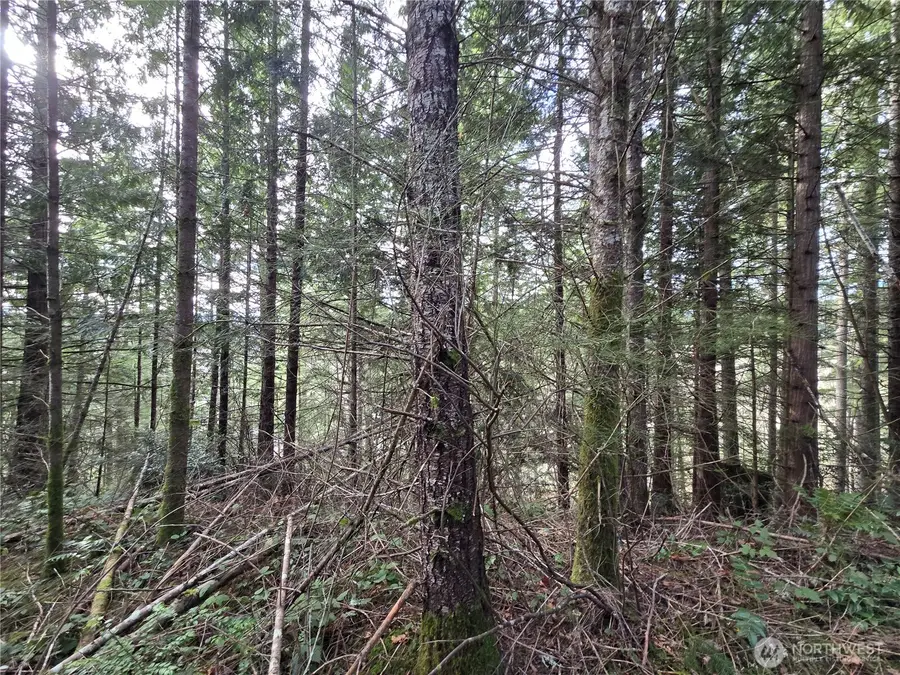 216 Bond Road Ne, Poulsbo, WA 98370 - #3