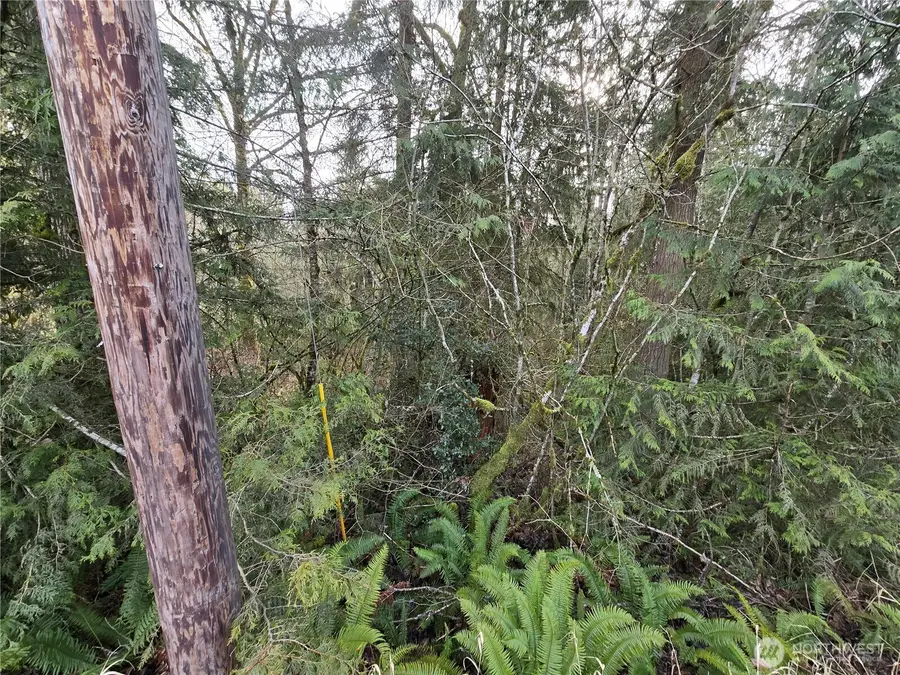 15102 Scott Turner Road E #1, Eatonville, WA 98328 - #3