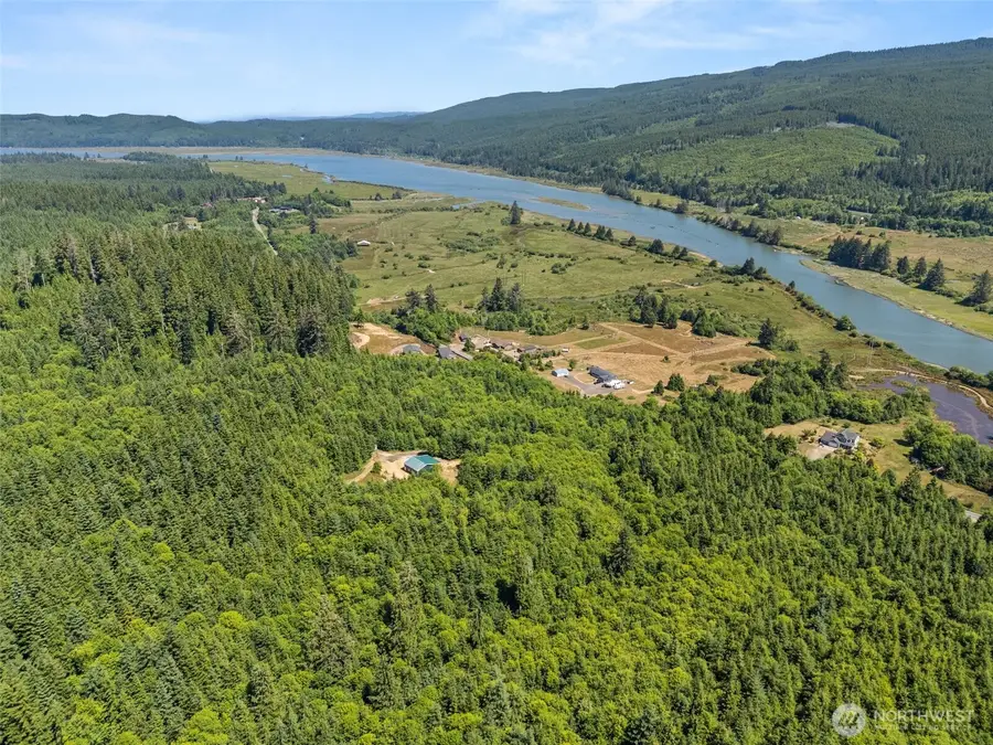 341 Parpala Road, Naselle, WA 98638 - #3