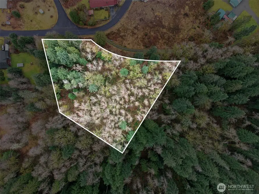 134 Tilton Drive #Parcel B-BLA 031-, Morton, WA 98356 - #2