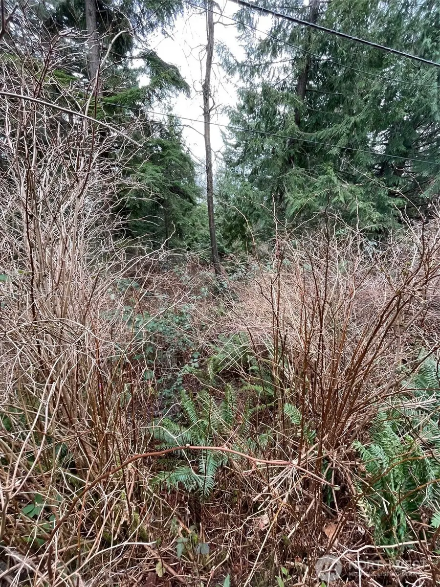 1268 Island Drive, Lummi Island, WA 98262 - #2