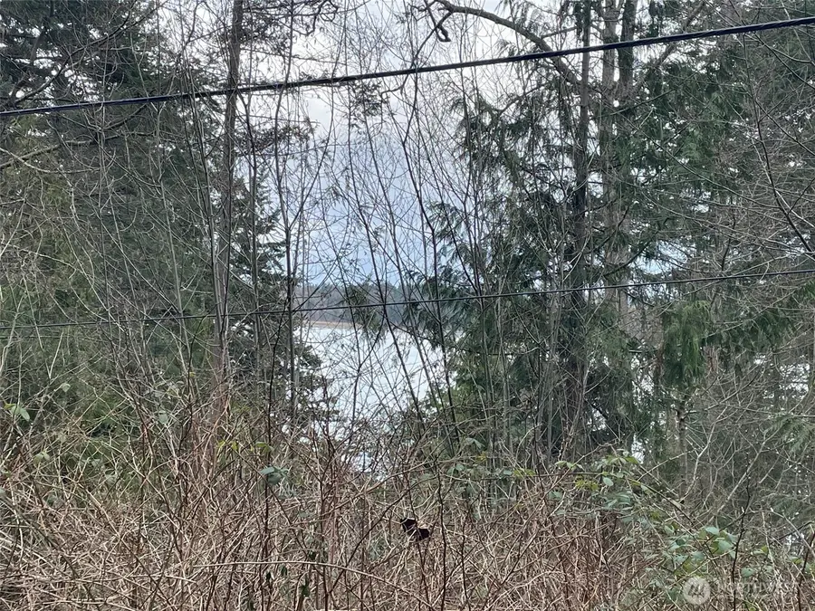 1268 Island Drive, Lummi Island, WA 98262 - #3