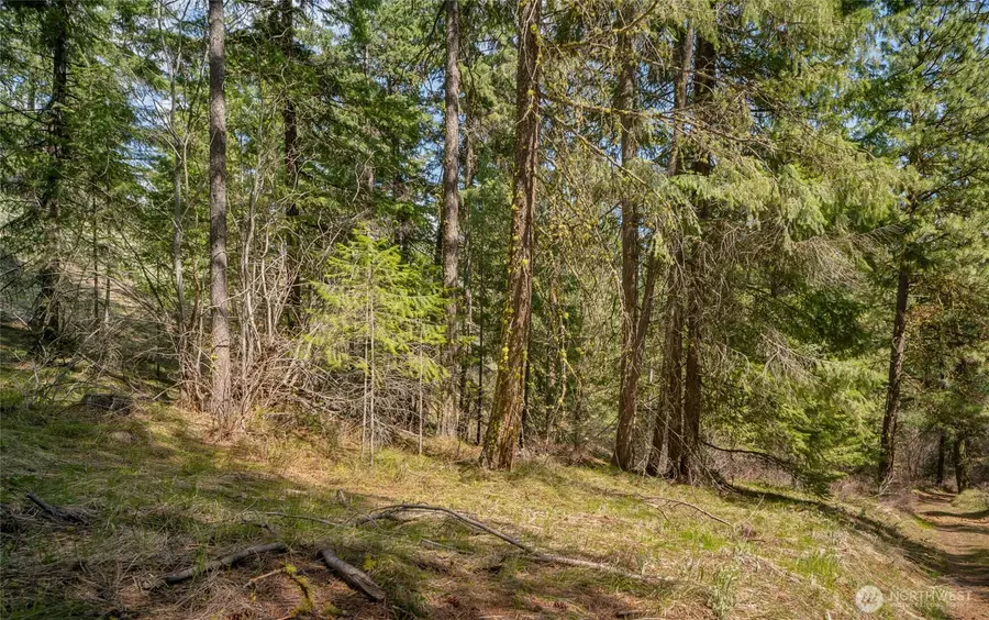 0 Skull Springs Road #78, Cle Elum, WA 98922 - #2