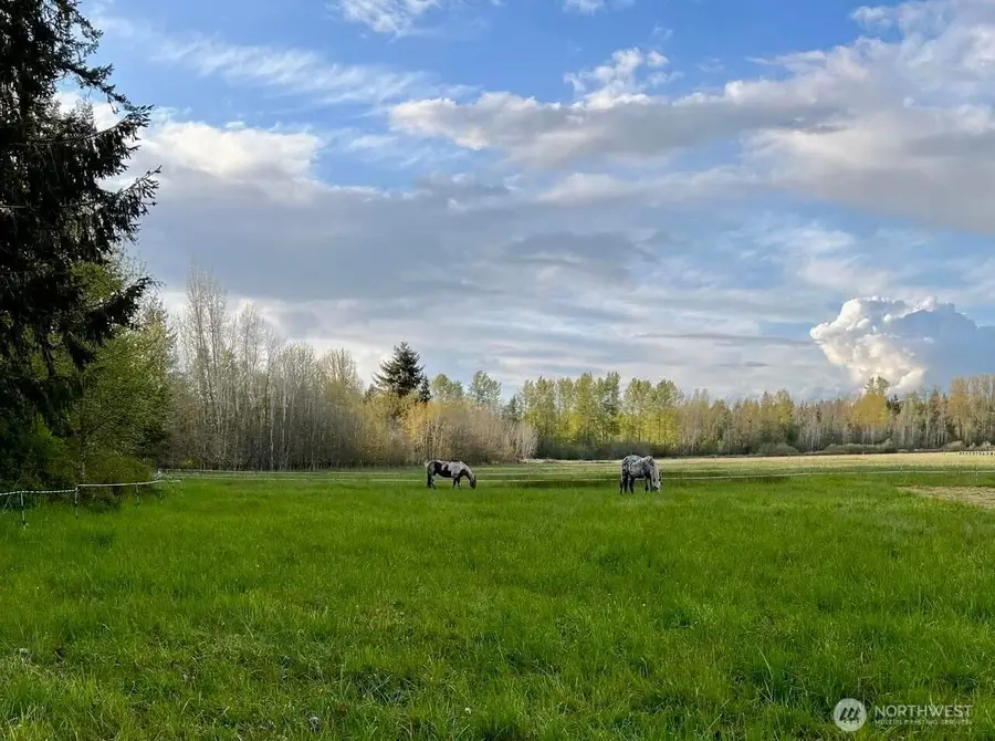 3925 Harts Lake Road S, Roy, WA 98580 - #2