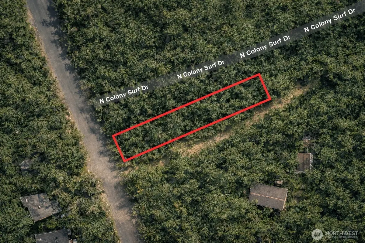 619 N Colony Surf Drive, Lilliwaup, WA 98555 - #1