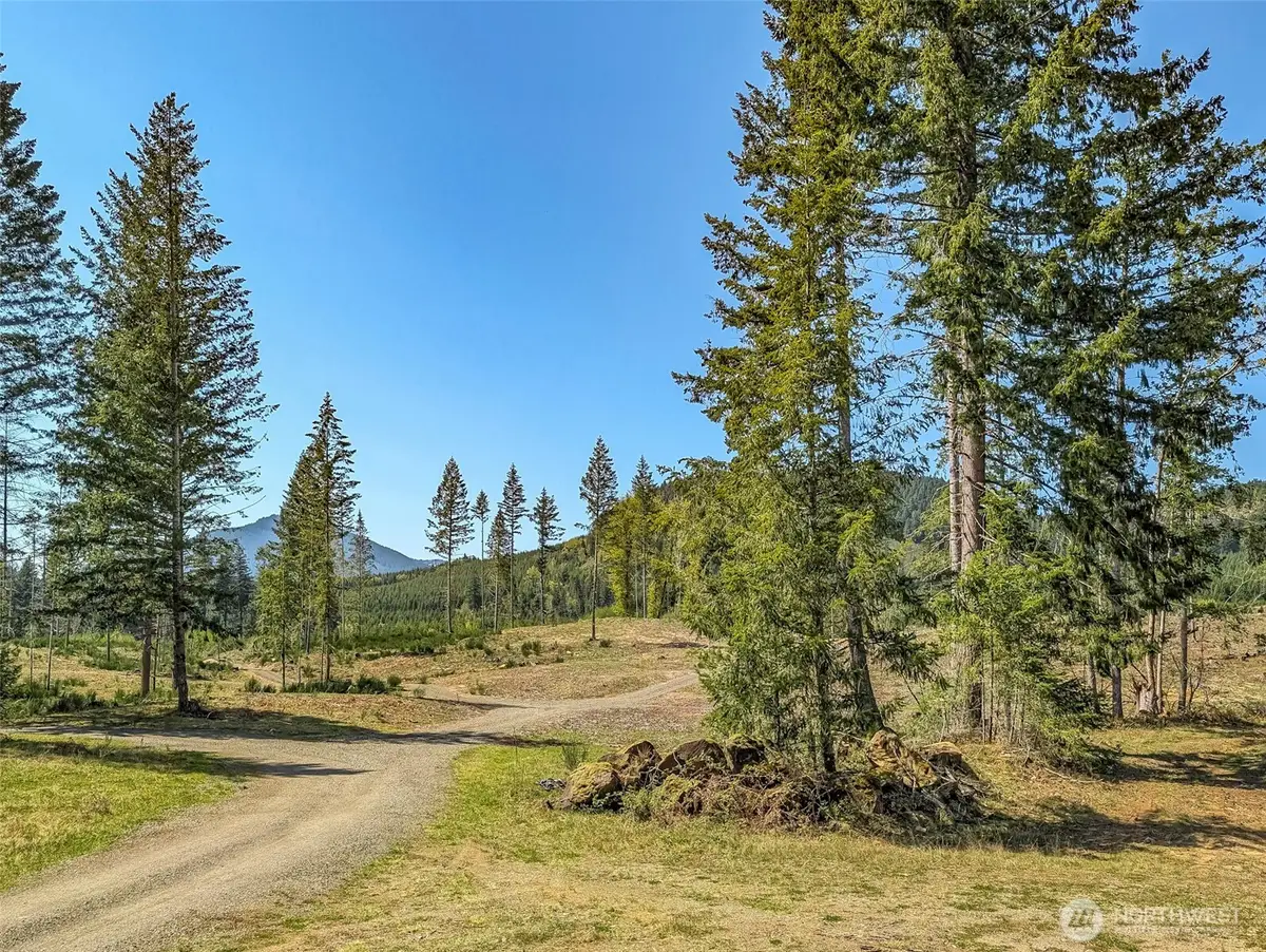 0 Craig Road, Packwood, WA 98361 - #1