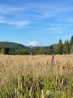 0 Salmon Creek Road, Mossyrock, WA 98564 - #2